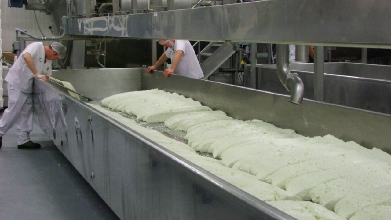 Doing it their whey Meet Ontario’s centuryold cheese factory TVO Today